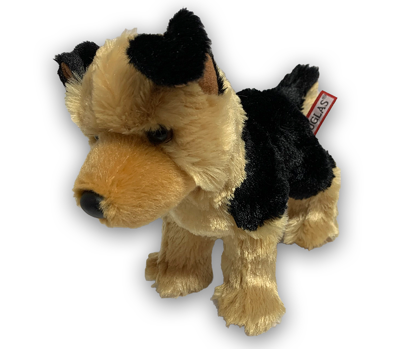 Sheba German Shepard