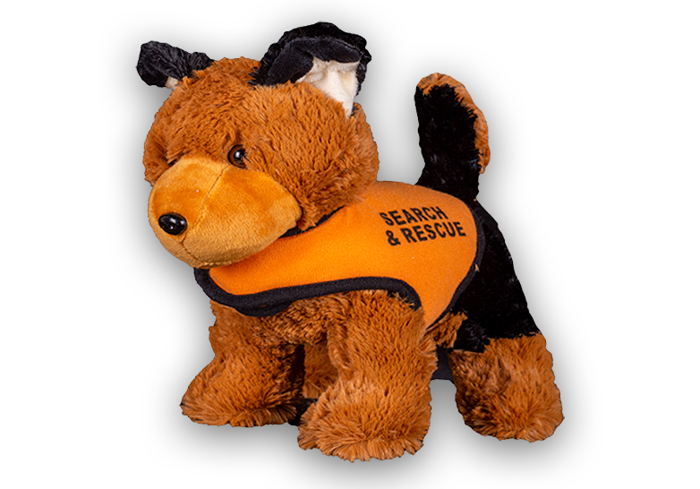 German Shepard Rescue Dog